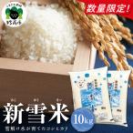 コシヒカリ 新雪米 あらゆきまい 10kg