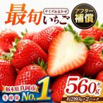 大 最旬とちあいか 約560g