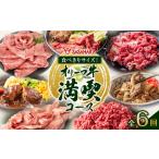 食べきりサイズ オリーブ牛の満喫コース
