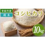 令和7年産 精米 コシヒカリ 10kg