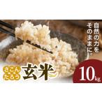 玄米 10kg