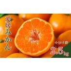 小分け 愛媛みかん 2.5kg