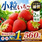 小粒 とちあいか 約560g