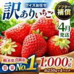 訳あり とちあいか サイズ お任せ 約1000g