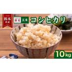 産コシヒカリ 無洗米 10kg