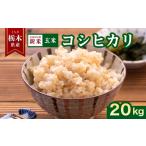産コシヒカリ 無洗米 20kg