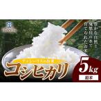 米 令和7年産 こしひかり コシヒカリ 白米 5kg