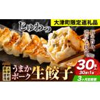 餃子 うまかポーク生餃子 30個