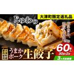 餃子 うまかポーク生餃子 60個