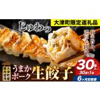 餃子 うまかポーク生餃子 30個
