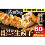 餃子 うまかポーク生餃子 60個