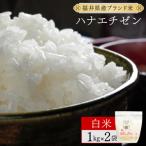 ハナエチゼン 精米 2kg