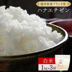 ハナエチゼン 精米 3kg