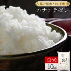 ハナエチゼン 精米 10kg
