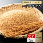 ハナエチゼン 精米 5kg