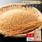 米 コシヒカリ 定期便3回 ハナエチゼン 玄米 10kg