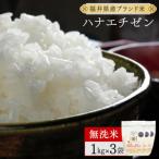 米 コシヒカリ ハナエチゼン 無洗米 3kg