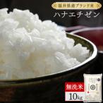 米 コシヒカリ ハナエチゼン 無洗米 10kg