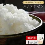 ハナエチゼン 精米 1kg令和8年産