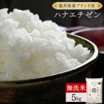 ハナエチゼン 無洗米 5kg