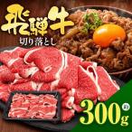 飛騨牛 切り落とし 300g