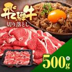 飛騨牛 切り落とし 500g