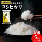 新米 お米の王様 コシヒカリ 白米 5kg×1袋
