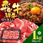 飛騨牛 切り落とし 1kg