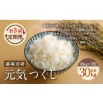 元気つくし お米 合計30kg
