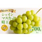 シャインマスカット 晴王 特選 大房 約700g