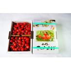 ふるさと納税 さくらんぼ（佐藤錦）１ｋｇ（５００ｇ×２パック）　Ｍ玉　秀品　0012-2601 山形県上山市