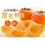富有柿 L 16玉