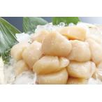 ふるさと納税 【北海道根室産】ホタテ貝柱500g B-32058 北海道根室市