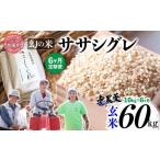 令和7年産 ササシグレ 玄米 10kg