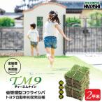TM9 ティーエムナイン 省管理型 コウライシバ