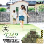 TM9 ティーエムナイン 省管理型 コウライシバ