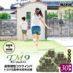 TM9 ティーエムナイン 省管理型 コウライシバ