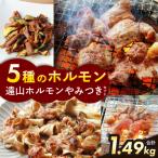 遠山ホルモンやみつきセット 肉の鈴木屋