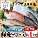 鮮魚ボックス 約1kg