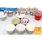 ふるさと納税 根羽村 ご当地６種のアイスクリームセット 16個 生ソフトクリームアイス バニラアイス 西尾抹茶 抹茶 りんご 紅ほっぺ いちご 苺ア.. 長野県根羽村