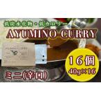 DL-006_AYUMINOーCURRY