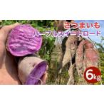 自然栽培 紫芋 さつまいも 6kg