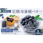fu.... налог .. рефрижератор принцесса Berry [ примерно 1kg] голубика фрукты плоды фрукты Ehime префектура (894) Ehime префектура 