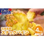 ふるさと納税 【2026年4