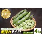 fu.... налог [2026 год 2 месяц последняя декада ~ отправка ] Кагосима префектура палец . город производство боб садовый примерно 4kg M*L размер смешивание ( запад . магазин /024-2076) боб садовый боб Кагосима префектура производство палец ... Кагосима префектура палец . город 