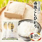 丹後コシヒカリ 白米 10kg