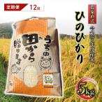 ひのひかり 令和7年産 農家直送