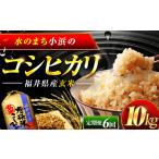 コシヒカリ 玄米 10kg