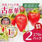 いちご 古都華 270g×2P
