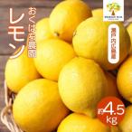 レモン 4.5kg